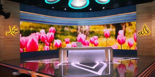 奥拓mini在土耳其电视台影视节目制作中的广泛应用